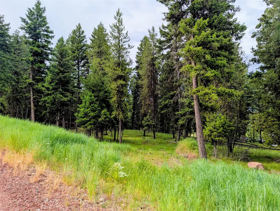 304 Seclusion Point, Seeley Lake, MT 59868 - #3