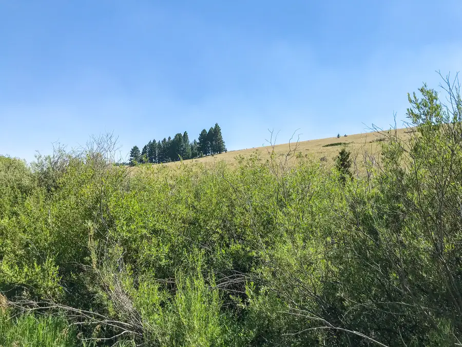 TBD Upper Deep Creek, Townsend, MT 59644 - #2