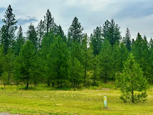 Nhn Mahonia Road, Plains, MT 59859