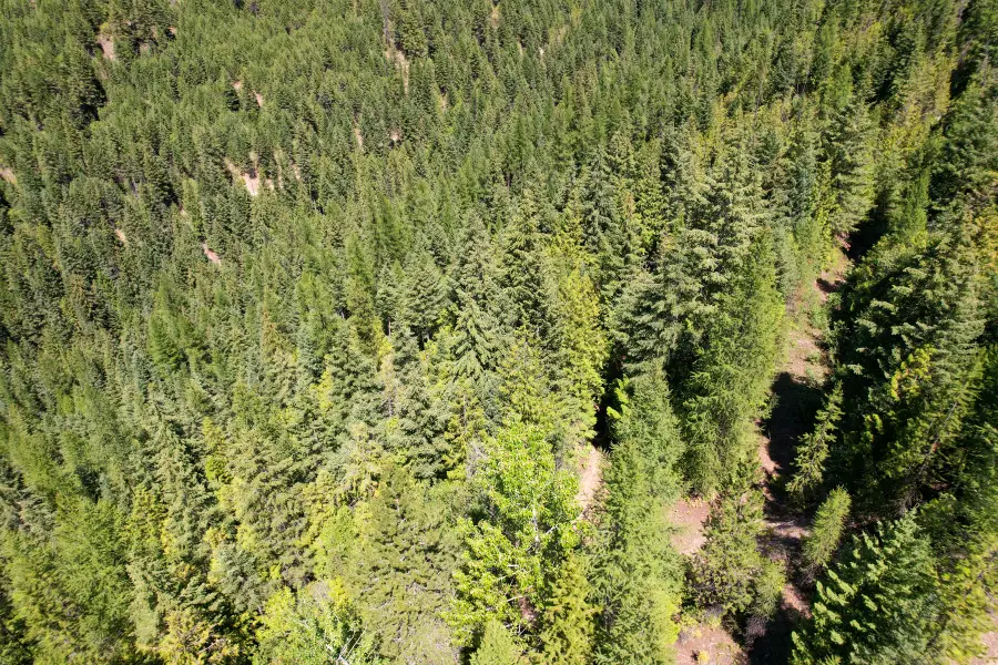 Tract 2 Pardee Flat Road, Superior, MT 59872 - #2