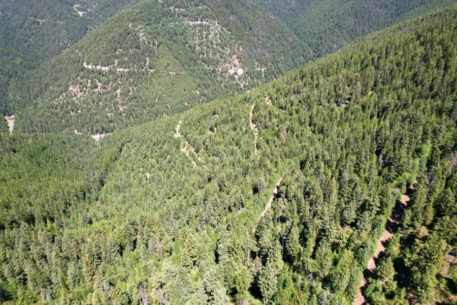 Tract 2 Pardee Flat Road, Superior, MT 59872 - #3