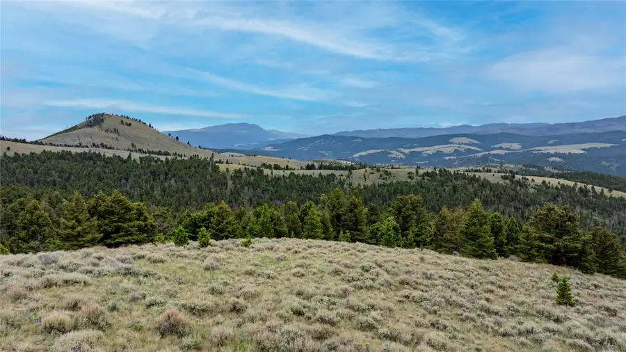 Bald Hill Lode, Basin, MT 59631 - #2