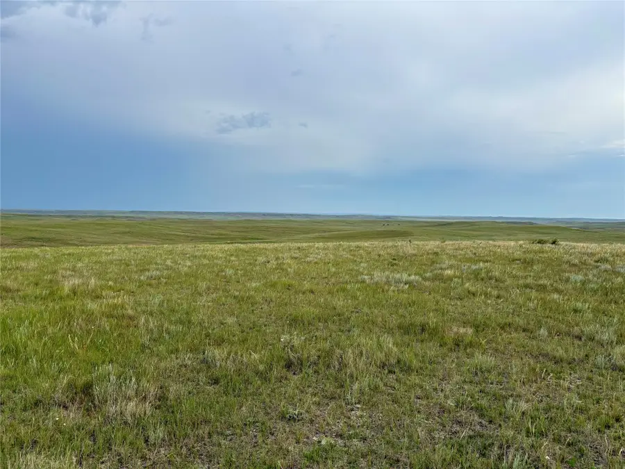 Lot 1 and 2 Thoeny Road, Opheim, MT 59250 - #2
