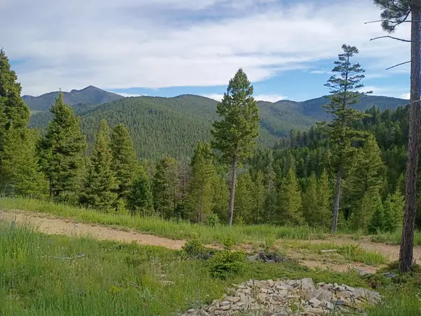 Lot 68 Elk Meadows, Lincoln, MT 59639