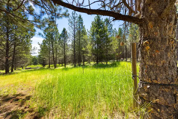 9295 Lost Prairie Road, Marion, MT 59925