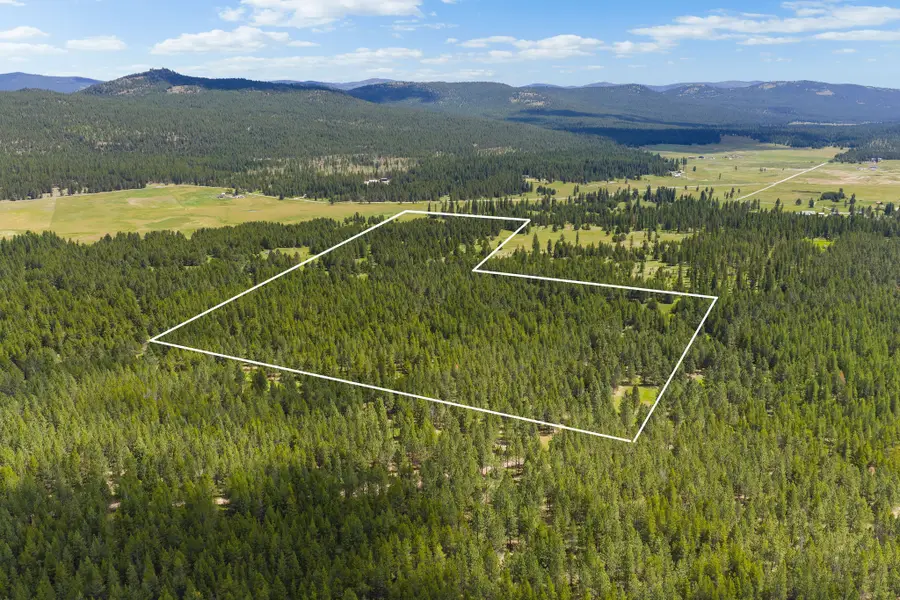 9295 Lost Prairie Road, Marion, MT 59925 - #2