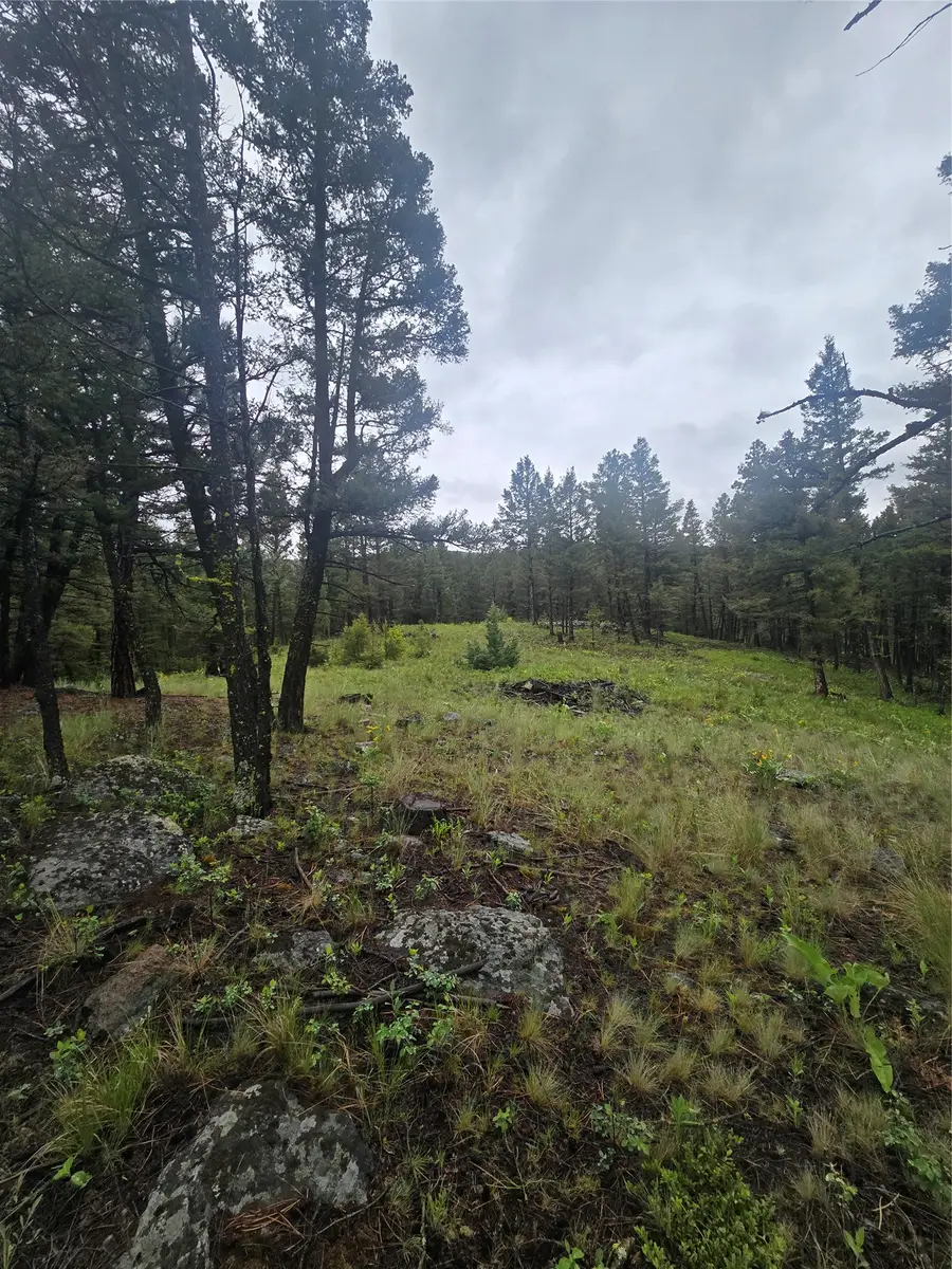 60 Snowberry Lane, Drummond, MT 59832 - #3