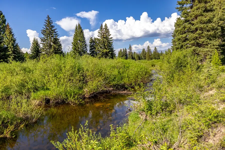 NHN Fortine Creek Road, Trego, MT 59934 - #2