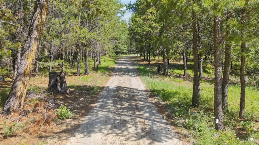 187 Bear Cat Trail, Marion, MT 59925 - #3