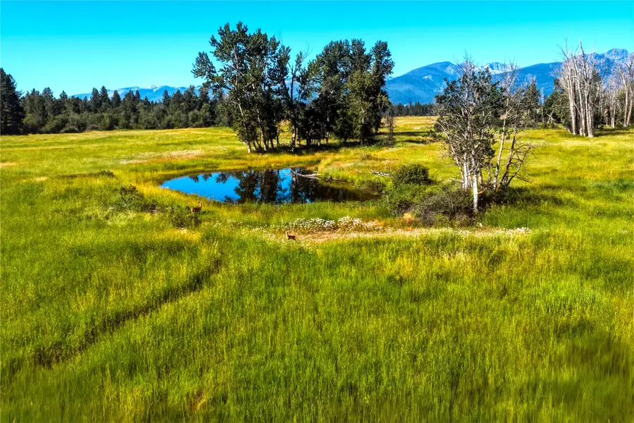 2291 Meridian Road, Victor, MT 59875 - #3