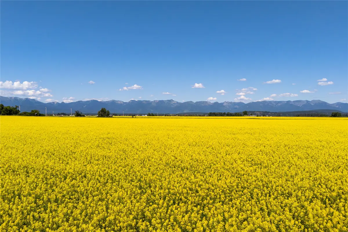 1000 Mt Hwy 82, Somers, MT 59932 - #1
