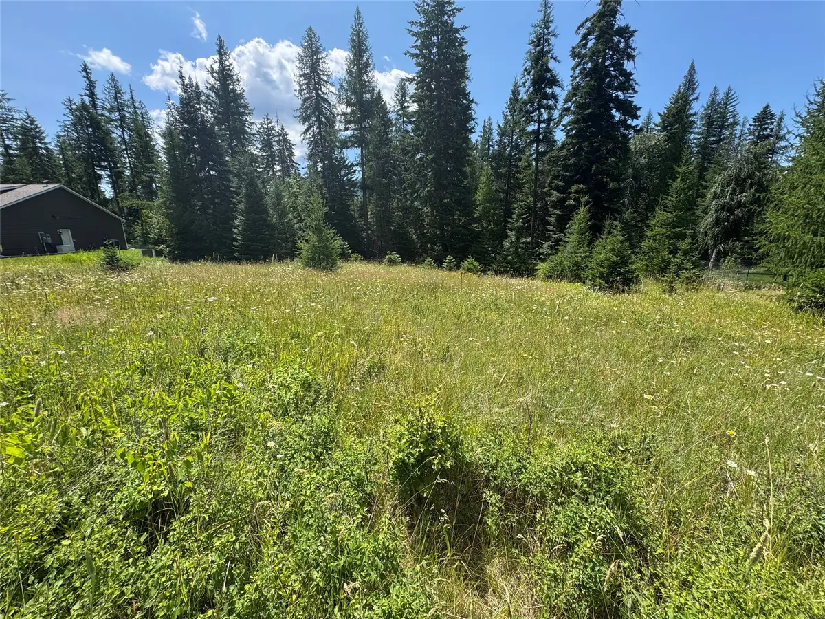 13643 Sundance Trail, Bigfork, MT 59911 - #1