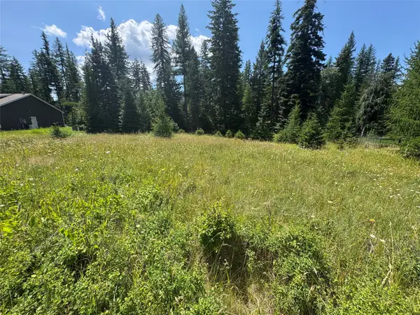 13643 Sundance Trail, Bigfork, MT 59911