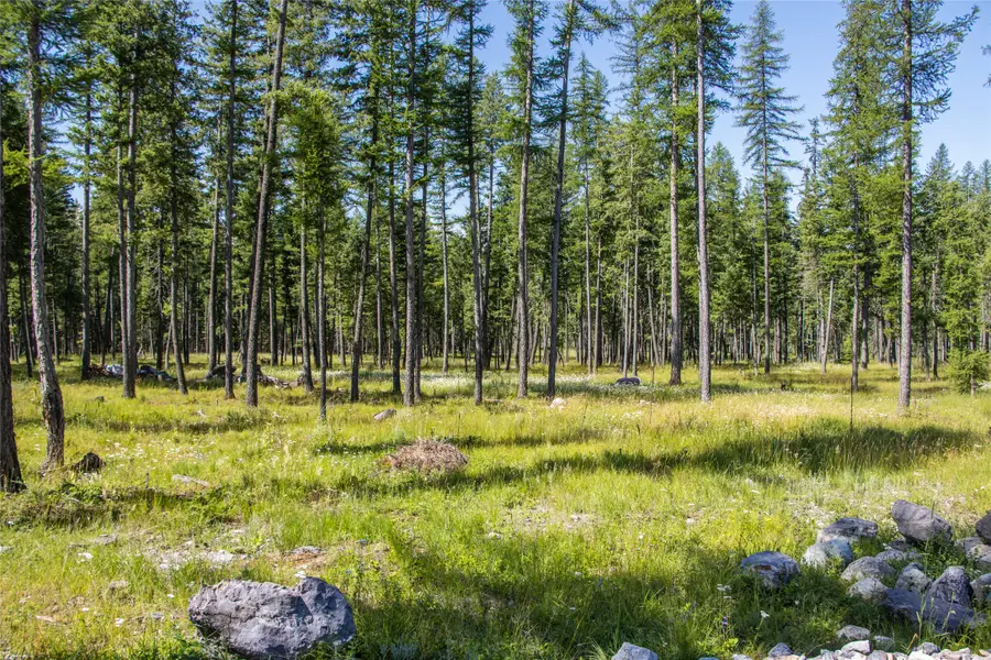 660 Boulder Ridge Trail, Columbia Falls, MT 59912 - #2