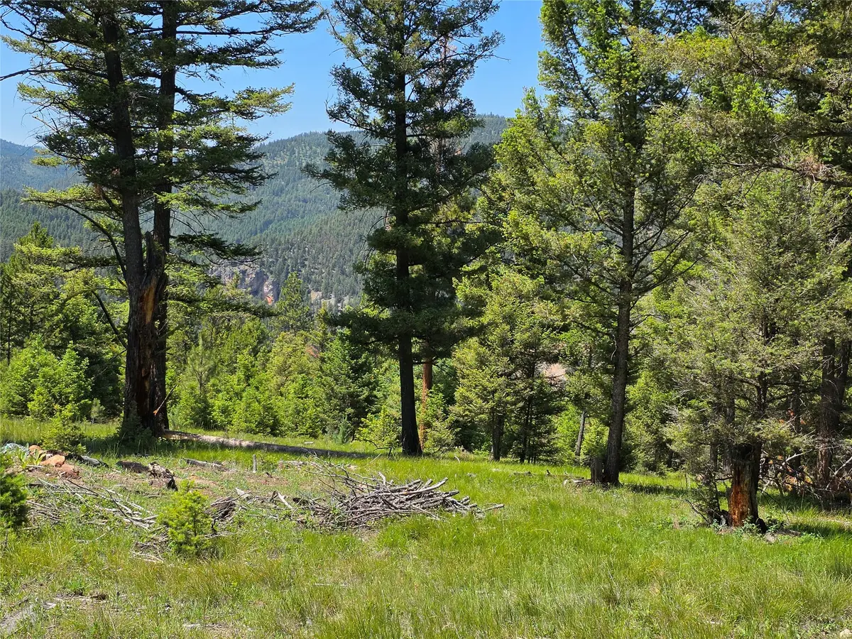 202 Packer Gulch, Drummond, MT 59832 - #1