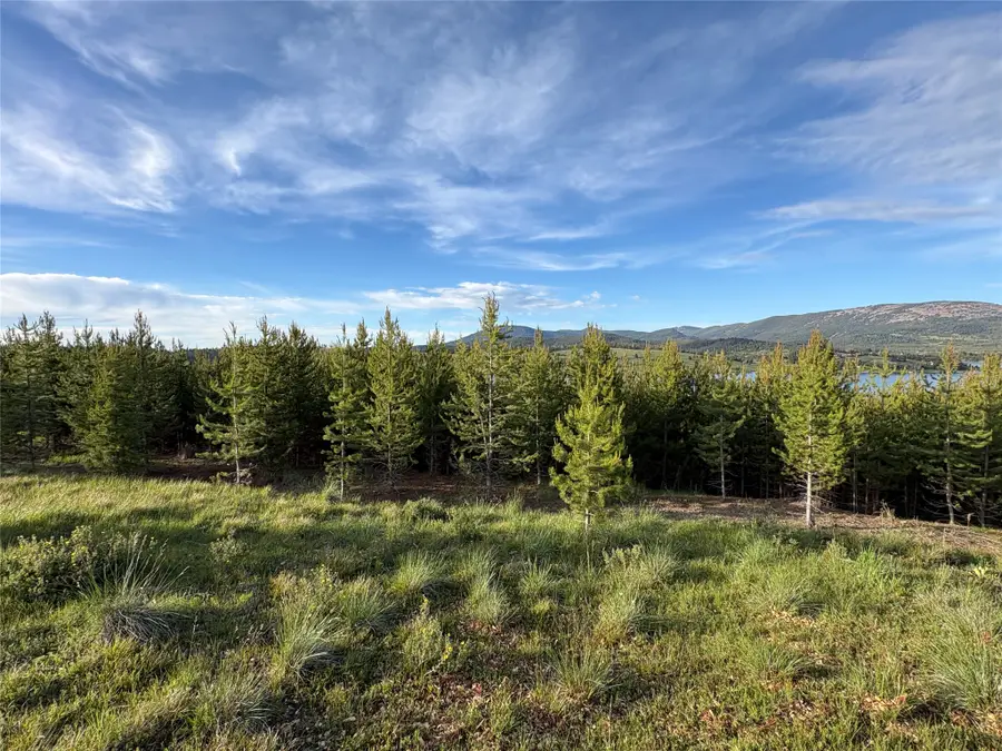 NHN Renegade Road, Anaconda, MT 59711 - #2
