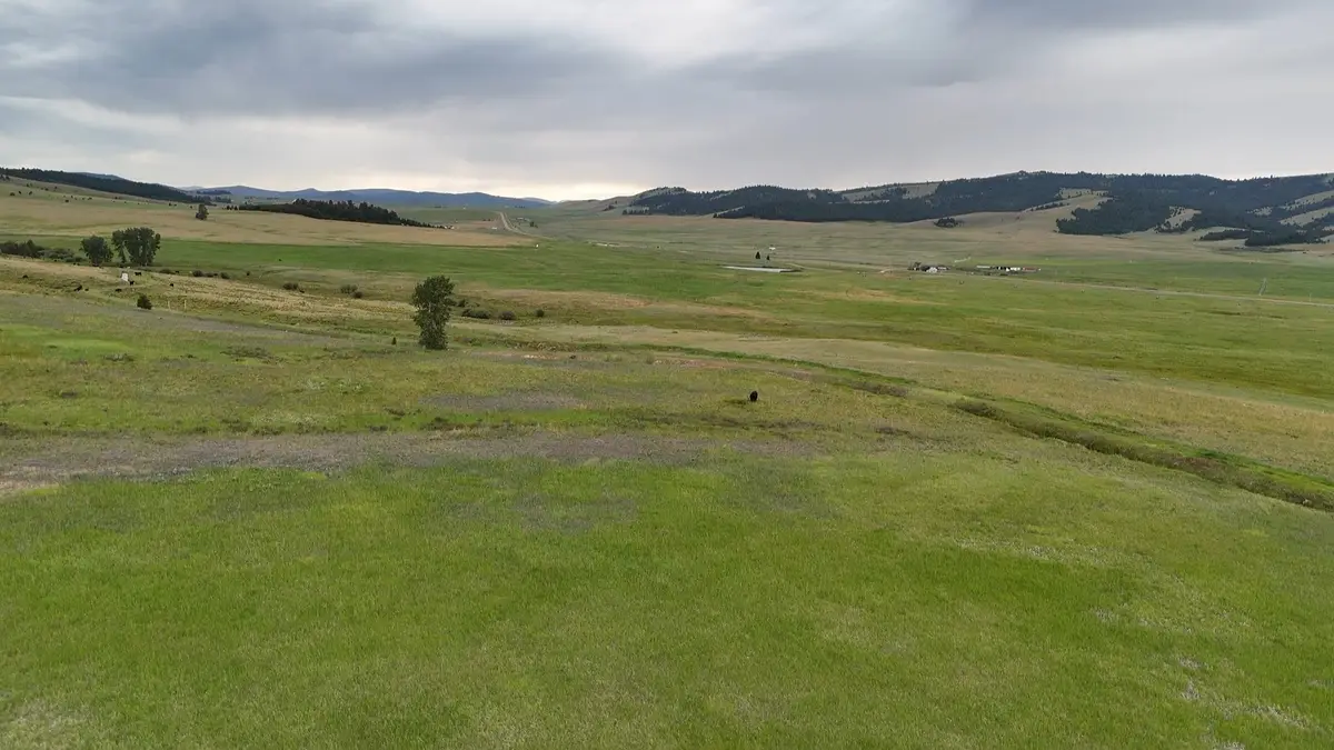 Nhn Meadow View, Philipsburg, MT 59858 - #1