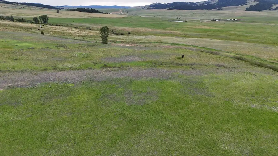 Nhn Meadow View, Philipsburg, MT 59858 - #3