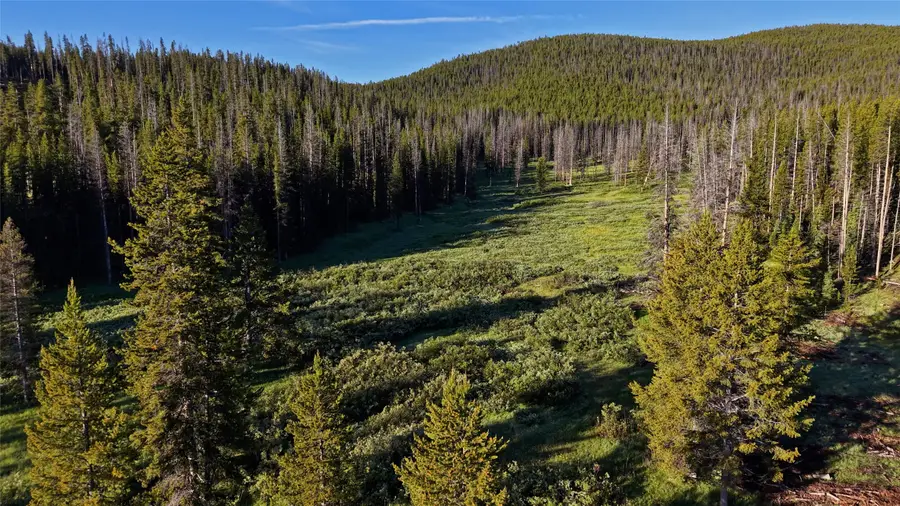 TBD Hwy 43, Wisdom, MT 59761 - #2