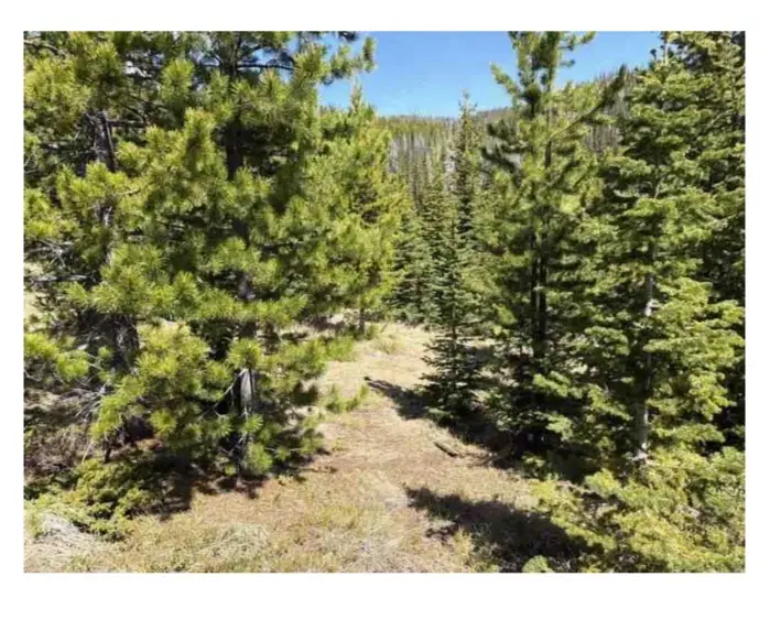 nhn Corral Gulch Road, Clancy, MT 59634 - #1