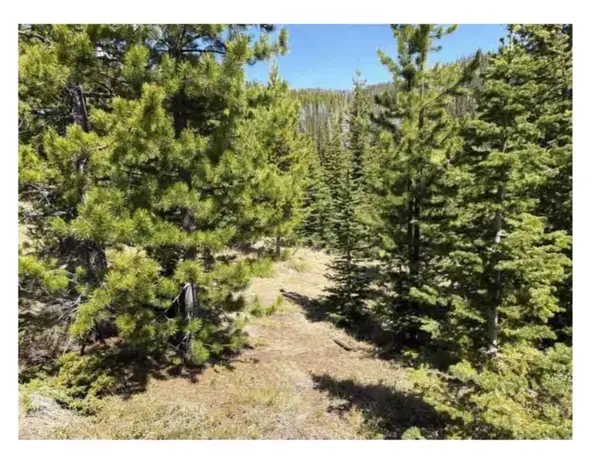 nhn Corral Gulch Road, Clancy, MT 59634