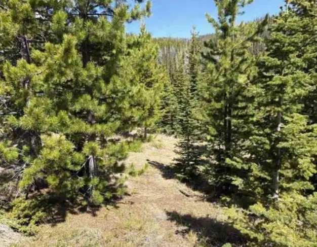 nhn Corral Gulch Road, Clancy, MT 59634 - #2
