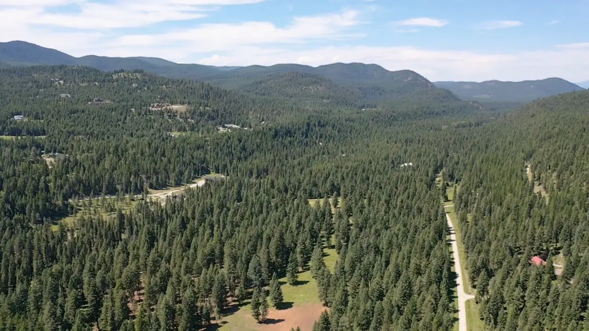 1550 Lost Creek Drive, Kalispell, MT 59901 - #1