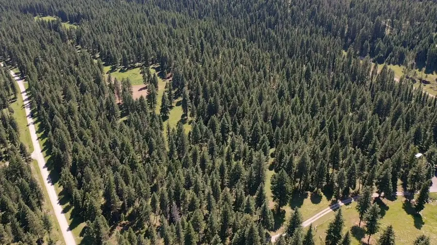 1550 Lost Creek Drive, Kalispell, MT 59901 - #2