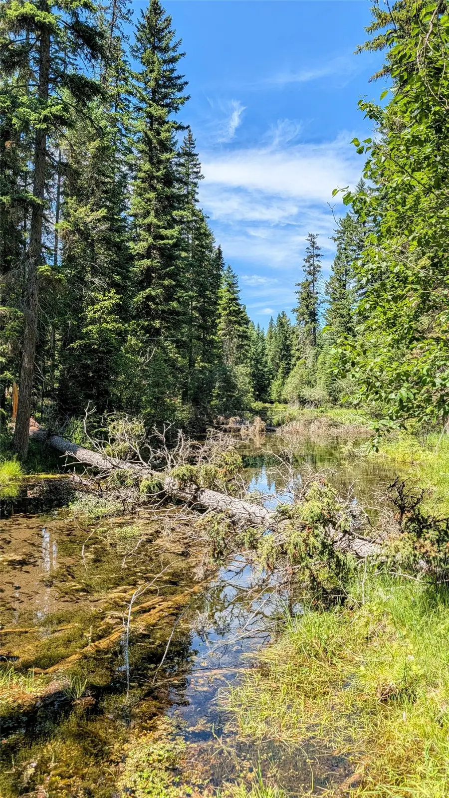 1550 Lost Creek Drive, Kalispell, MT 59901 - #3