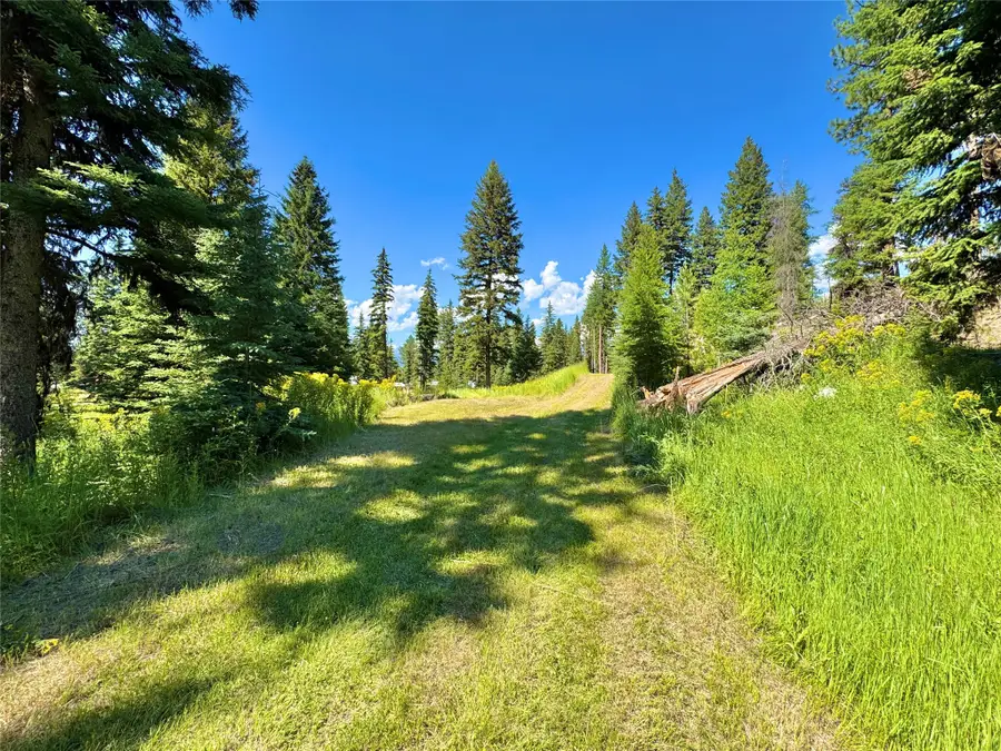 890 Montana Drive, Seeley Lake, MT 59868 - #3