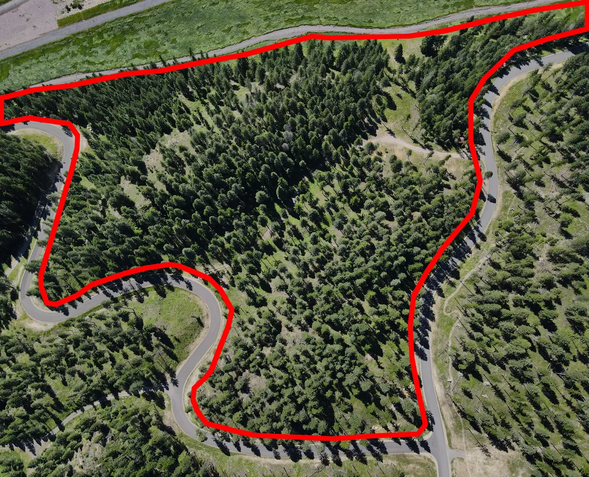 1082 Whitefish Ridge Road, Whitefish, MT 59937 - #1