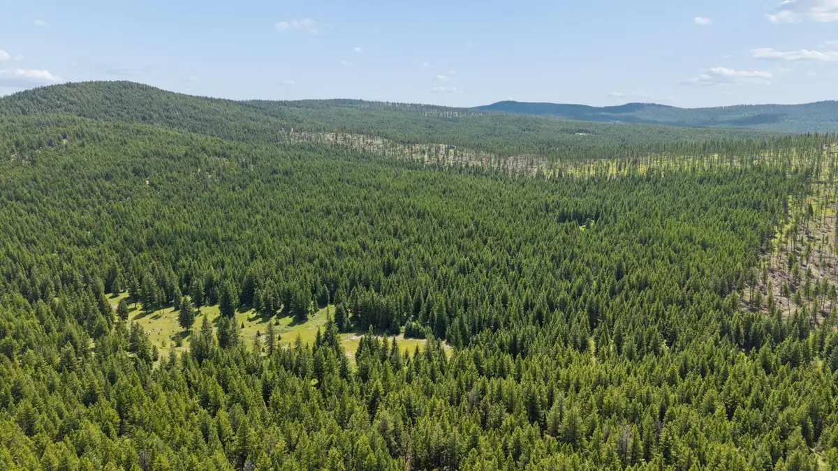 554 Pinkham Road, Rexford, MT 59930 - #1