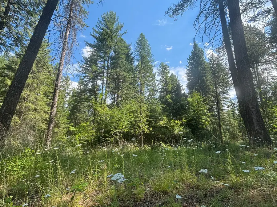 2297 Houston Point Drive, Whitefish, MT 59937 - #2