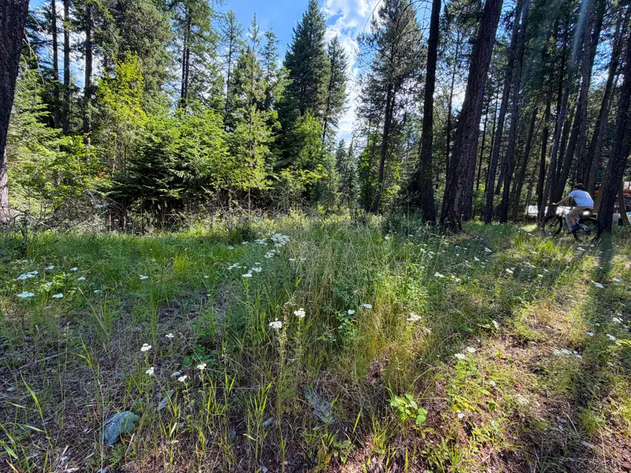 2297 Houston Point Drive, Whitefish, MT 59937 - #3
