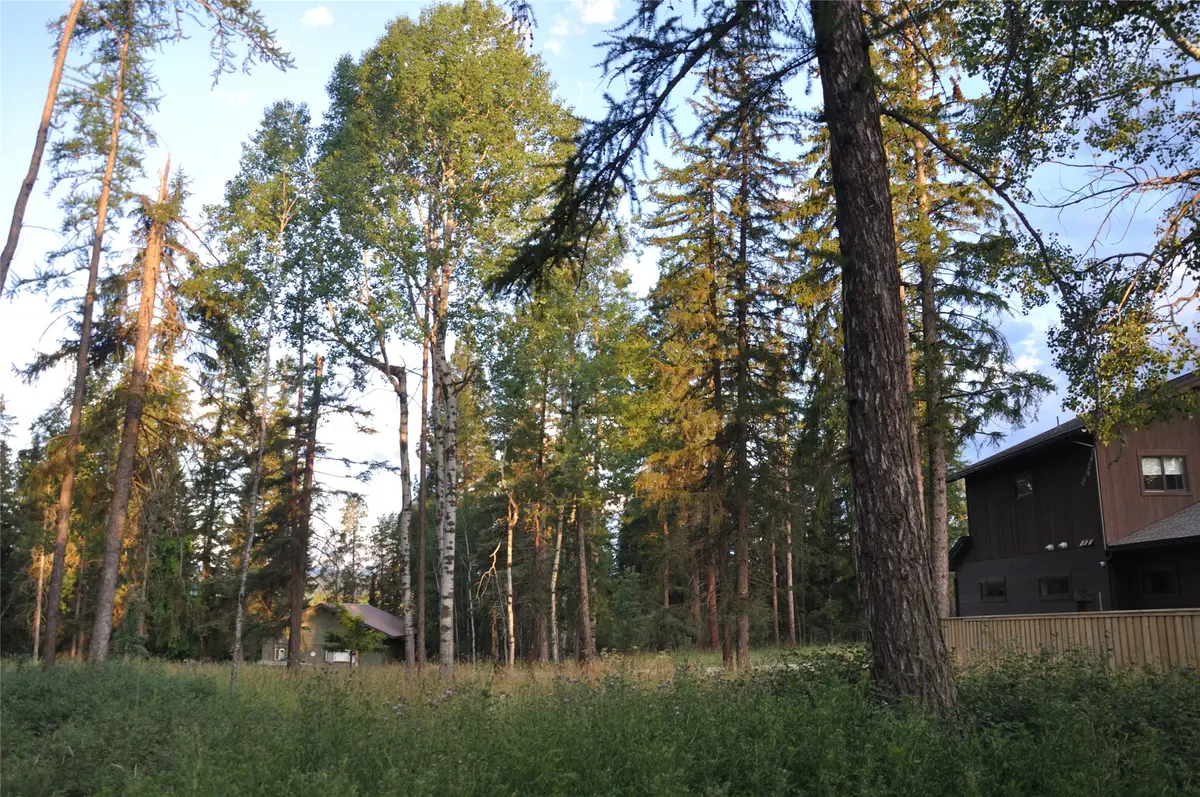 181 Mountain Brook Lane, Whitefish, MT 59937 - #1