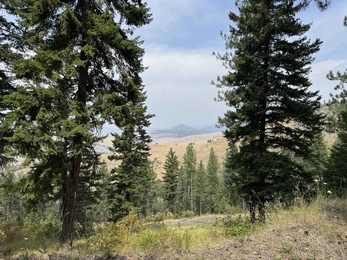 Lot 4 Yosyrian Lane, Plains, MT 59859 - #1