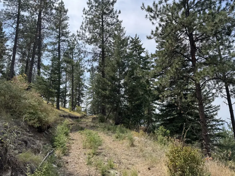 Lot 4 Yosyrian Lane, Plains, MT 59859 - #3