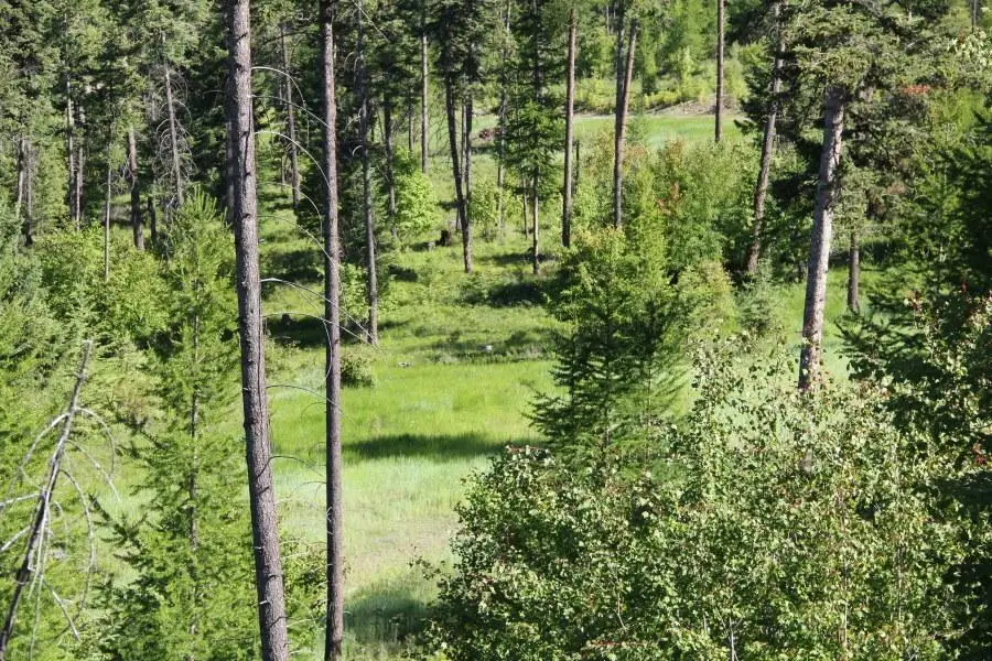 167 Eagles Crest Road, Lakeside, MT 59922 - #3