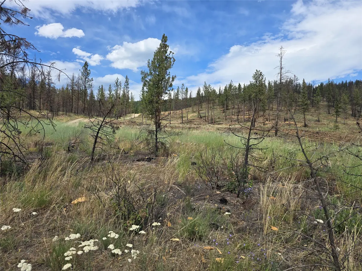 nhn Mt Highway 28, Plains, MT 59859 - #1