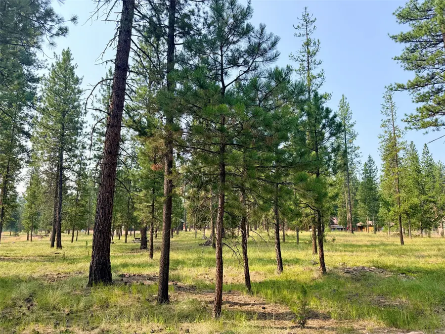 723 Timberlane, Seeley Lake, MT 59868 - #3