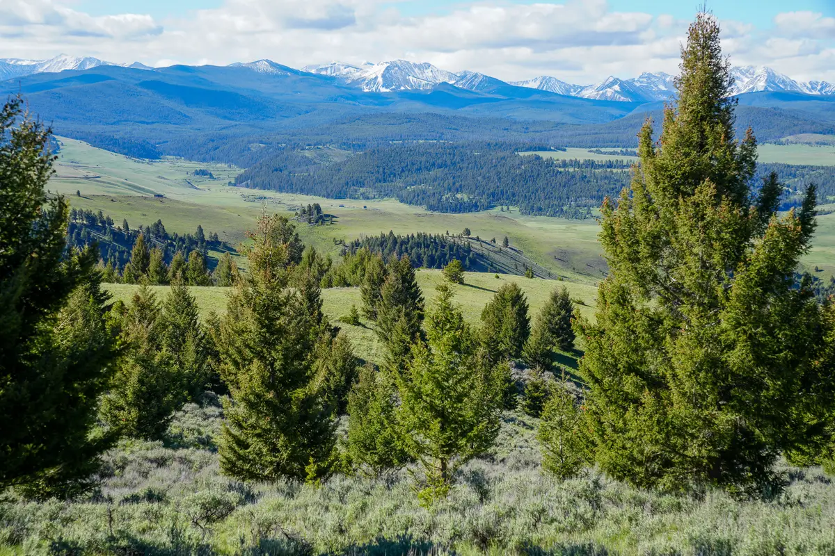 Running J Ranch, Philipsburg, MT 59858 - #1