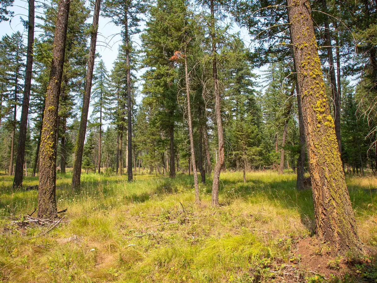 415 Bowdish Road, Kalispell, MT 59901 - #1