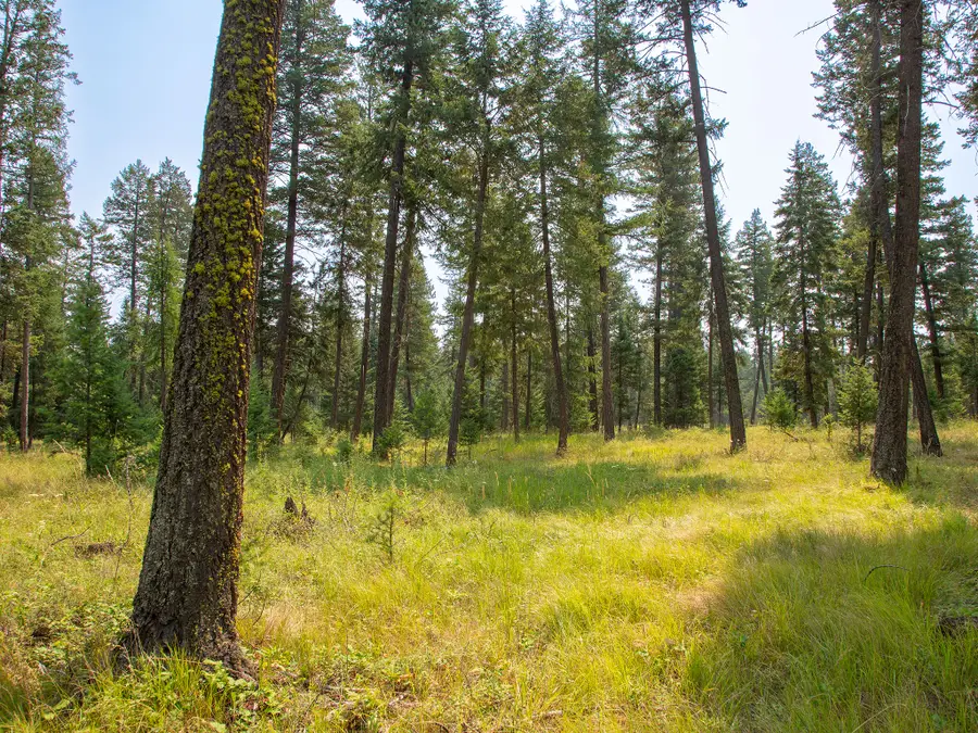 415 Bowdish Road, Kalispell, MT 59901 - #3