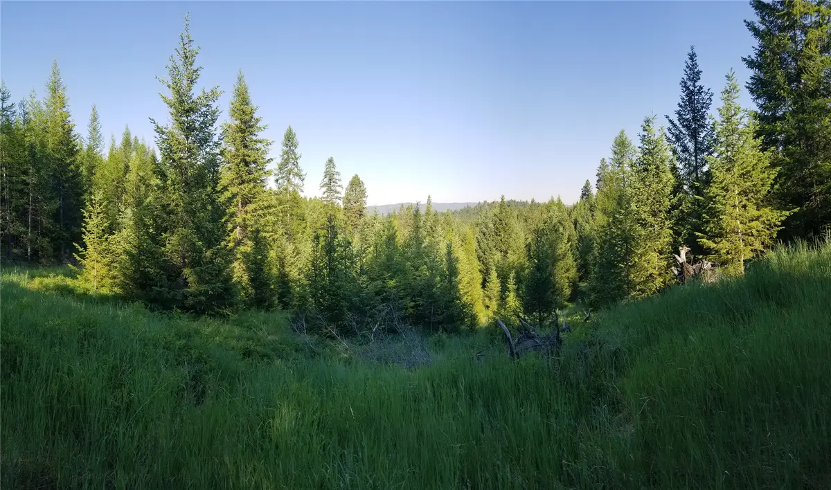 E Half Lot 2A Haywire Gulch, Kalispell, MT 59901 - #1