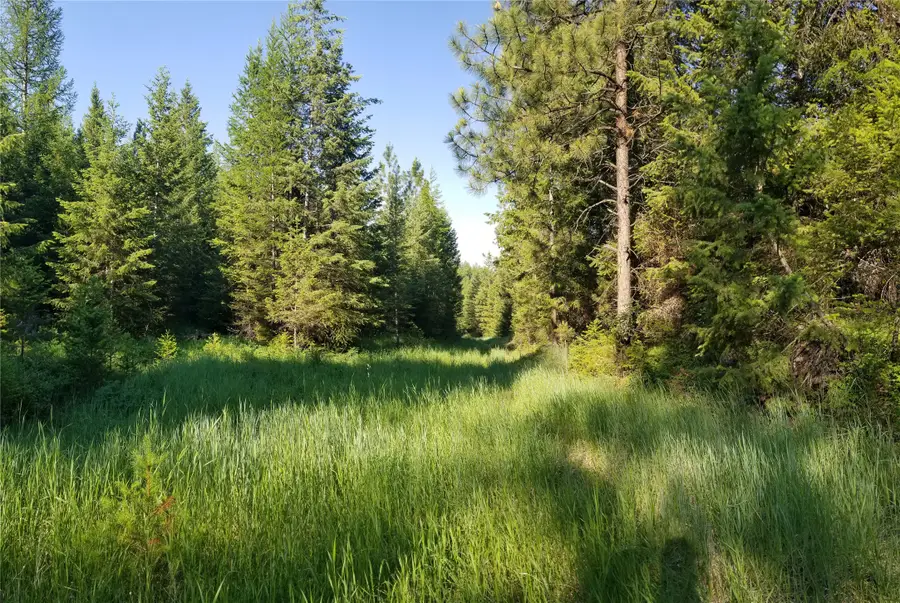 E Half Lot 2A Haywire Gulch, Kalispell, MT 59901 - #2