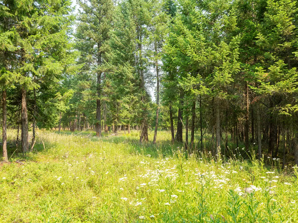NHN Bowdish Road, Kalispell, MT 59901 - #1