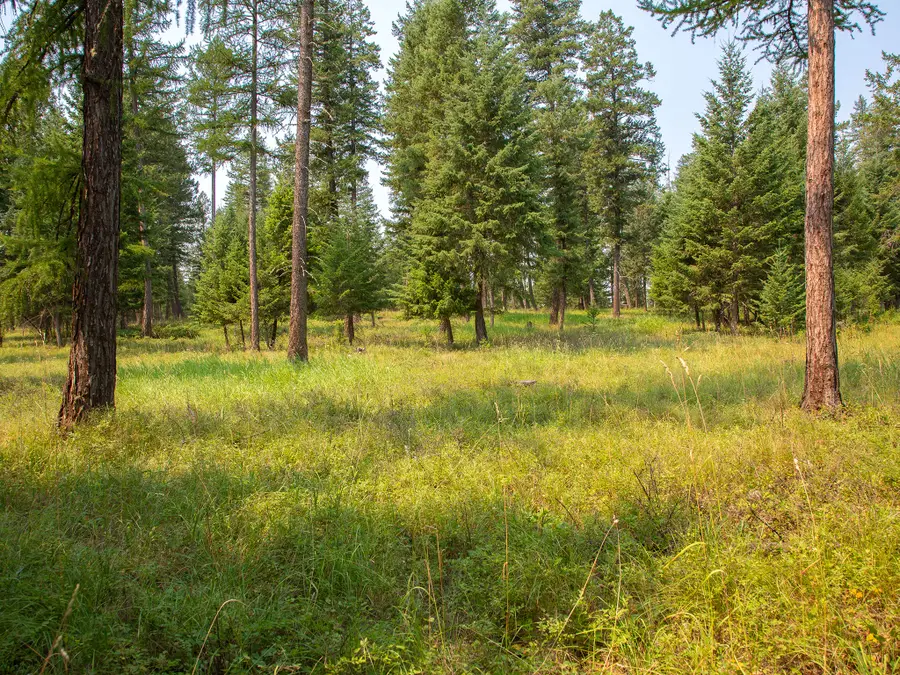 NHN Bowdish Road, Kalispell, MT 59901 - #2
