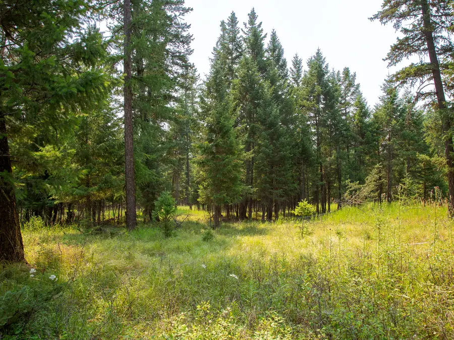 NHN Bowdish Road, Kalispell, MT 59901 - #3