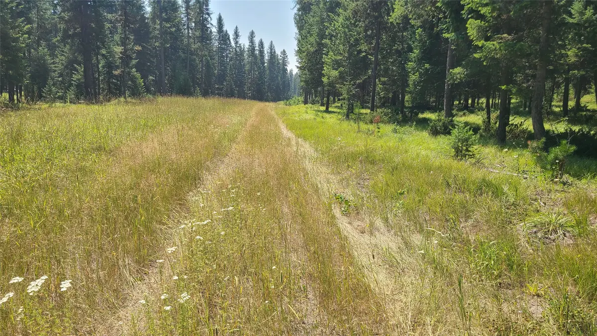 128 Whitefish Forest Loop, Whitefish, MT 59937 - #1