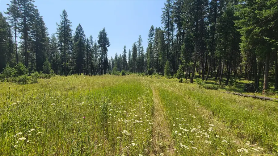 128 Whitefish Forest Loop, Whitefish, MT 59937 - #2